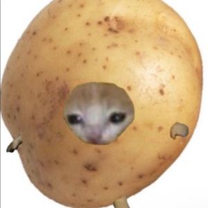 Meet your Posher, Neesha